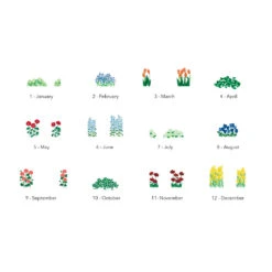 Bloom Pop Up Calendar 2024 -Creative Corner Deals Store bloom pop up calendar 2024 3