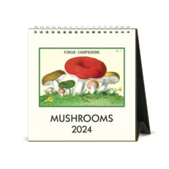 2024 Mushroom Desk Calendar