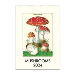 2024 Mushrooms Wall Calendar