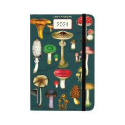 2024 Mushrooms Weekly Agenda
