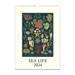 242024 Sea Life Wall Calendar