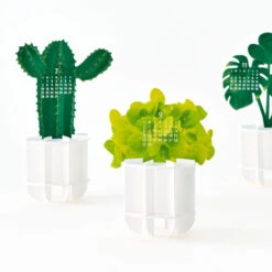 Green Plants Pop Up Calendar 2024 -Creative Corner Deals Store green plants pop up calendar 2024 2