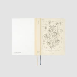 [sold Out] [ENG] HON A5 Tomitaro Makino 2024 Hobonichi Techo -Creative Corner Deals Store hobonichi sold out eng hon a5 tomitaro makino 2024 5