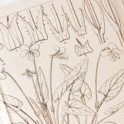 [sold Out] Tomitaro Makino: Shihai Sumire Weeks 2024 Hobonichi Techo -Creative Corner Deals Store hobonichi sold out tomitaro makino shihai sumire w 7