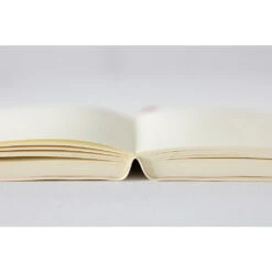 MD Notebook Diary A5 1 Day 1 Page 2024 -Creative Corner Deals Store midori md notebook diary a5 1 day 1 page 2024 8