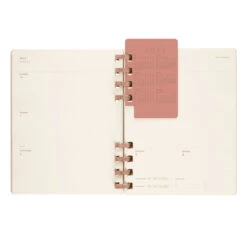 Moleskine Kiwi Weekly And Monthly Student Life Planner 2023-24 -Creative Corner Deals Store moleskine kiwi weekly and monthly student life pla 4