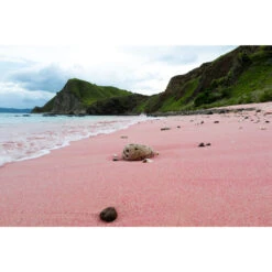 [coming Soon] Platinum #3776 Sands Of Komodo Fountain Pen -Creative Corner Deals Store platinum coming soon platinum 3776 sands of komodo 2