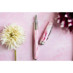 Visconti Van Gogh Souvenir De Mauves Fountain Pen Medium Nib Set -Creative Corner Deals Store visconti visconti van gogh souvenir de mauves foun 2